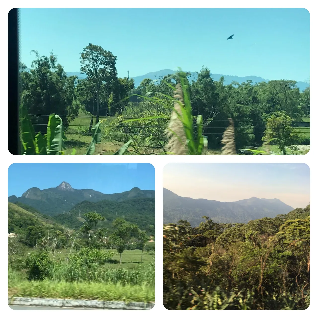 more pictures out of the bus..