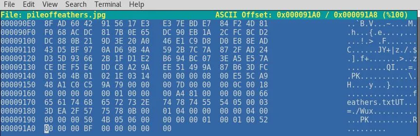 que-com-ctp-necromancer-flag2-hexeditor