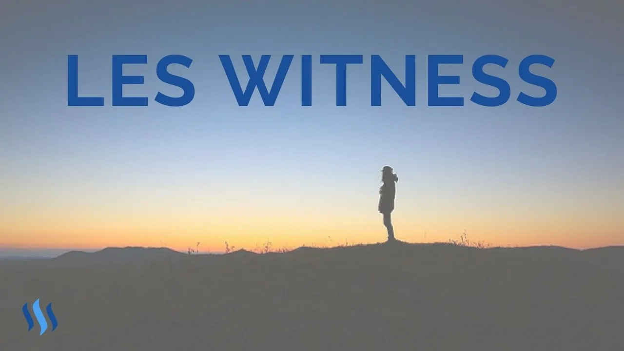 Temoins-witness-steem.jpg