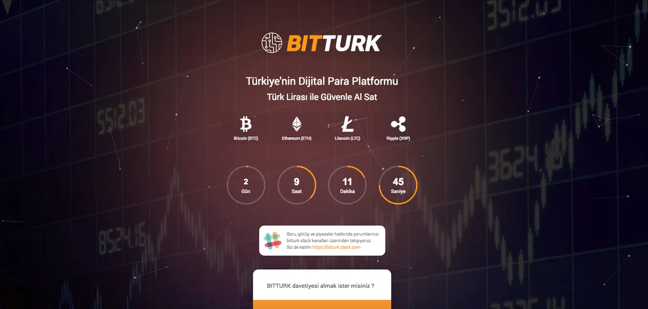 bitturk.png