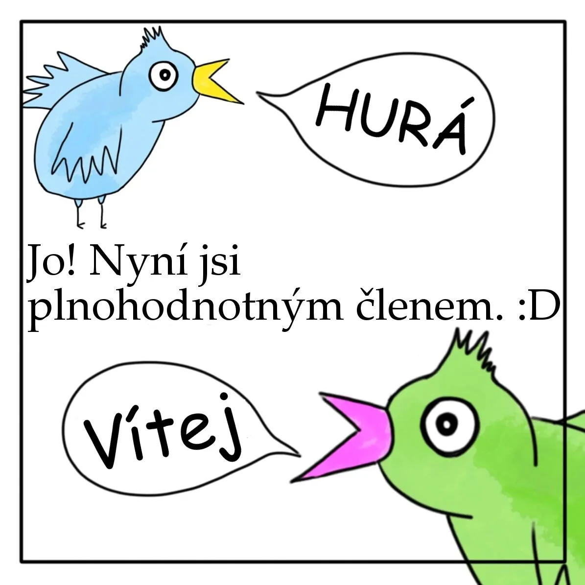 MSP9.jpg