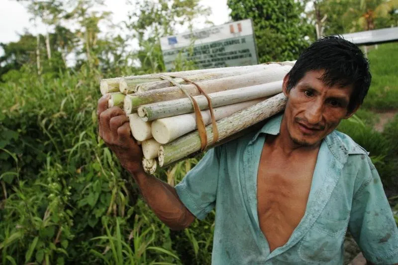 peru_worker.jpg
