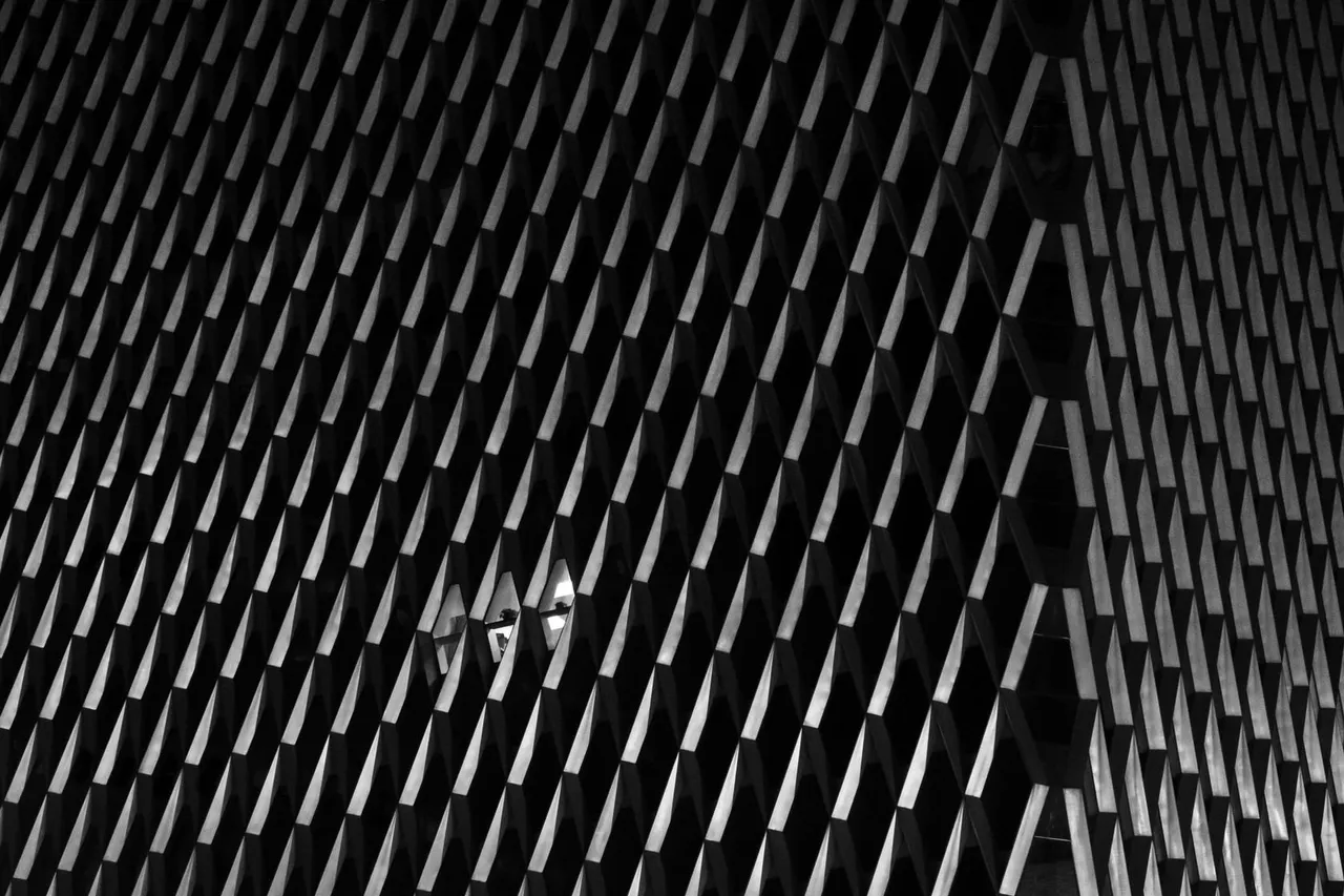 DSCF9518.jpg