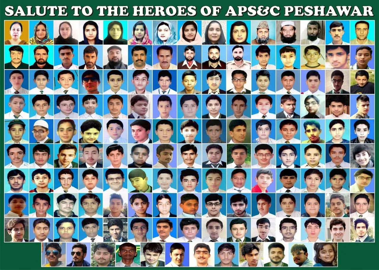Army_Public_School_Peshawar_Army_Public_School_and_College_Peshawar_APS_Terrorist_Attack_Students_Children_APS_attack_2014_16_December_Photos_Images._Martyrs_APSC_Peshawa_1.jpg