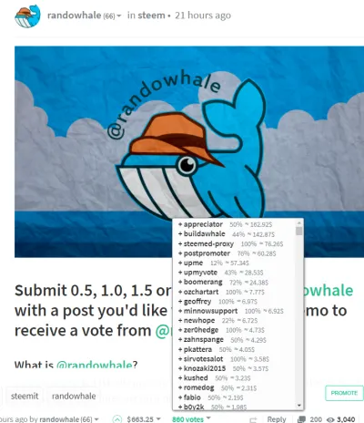 randowhale launch.png