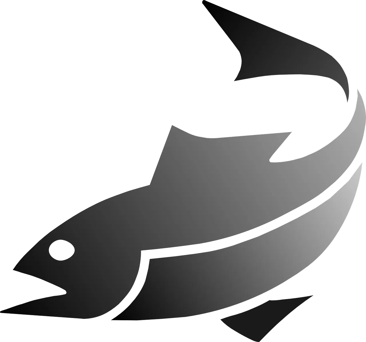 fish-311077_1280.png