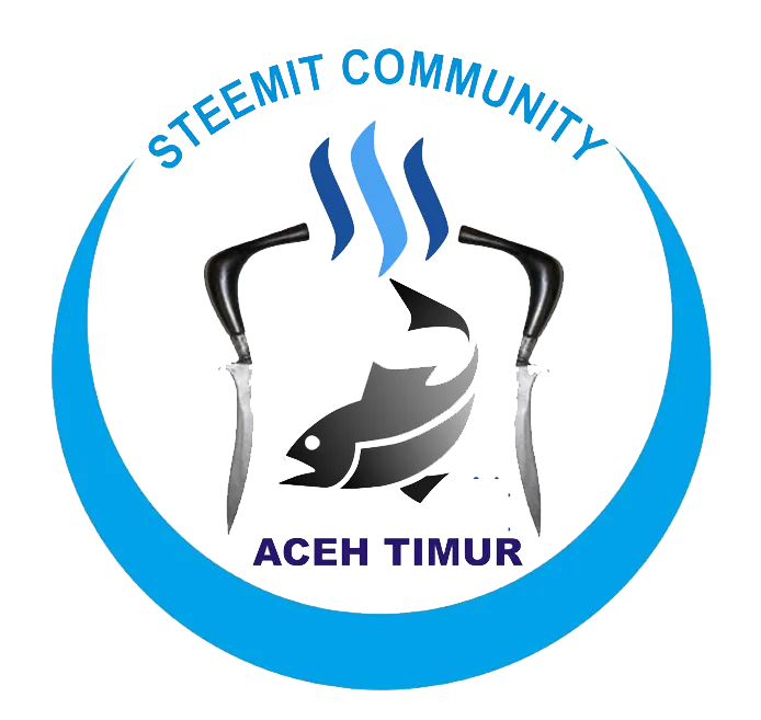 Stemit Atim copy.png