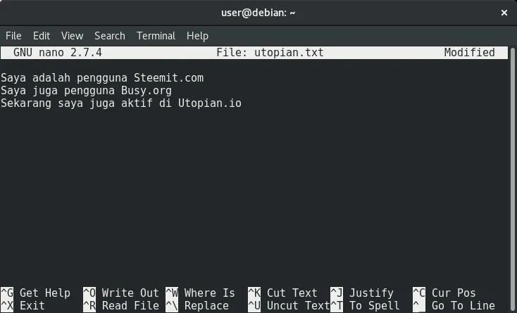 user@debian: ~_008.png