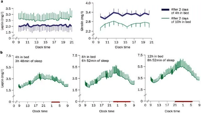 Figure-2-Effect-of-sleep-duration-on-leptin-and-ghrelin-levelsa-Mean-SEM-leptin.png