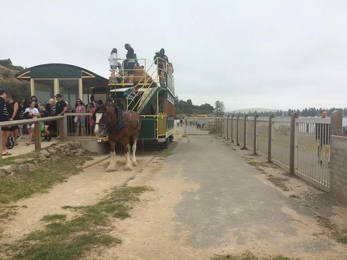 Victor Harbour - Tram at Granite Island stop.jpg