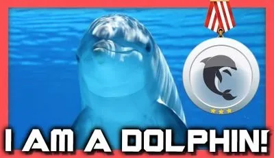 dolphin-cover.jpg