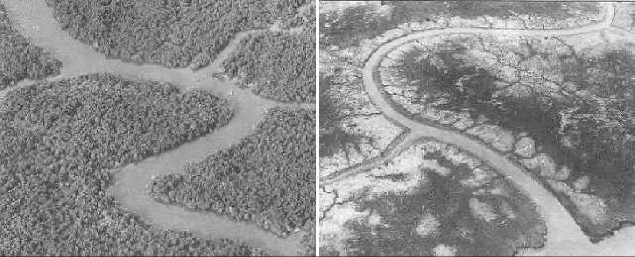 before-after-agent-orange.jpg