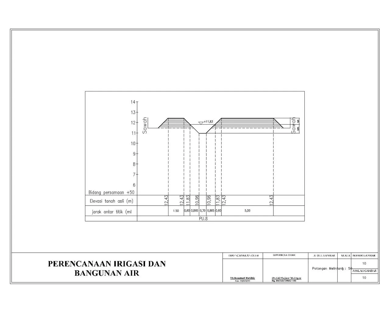 irigasi habibie recovery-Model.jpg