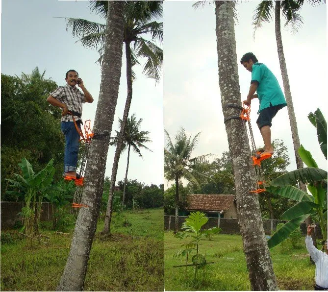 Alat-Pemanjat-Pohon-Kelapa-Berteknologi-Praktis-Dan-Fleksibel.jpg