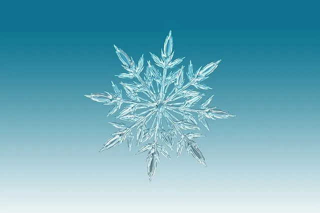 Snowflake.jpg