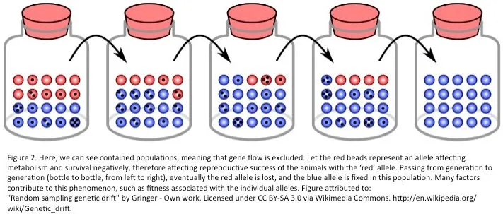 Slide2.jpg