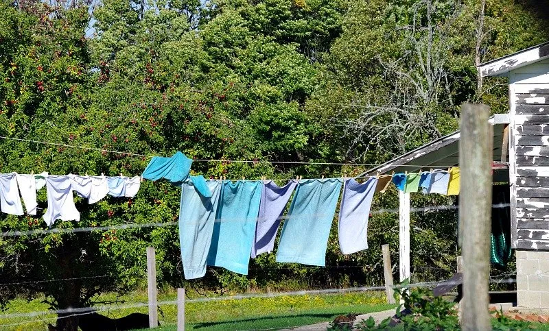 steemit-amish-trail-clothesline-virgo.jpg