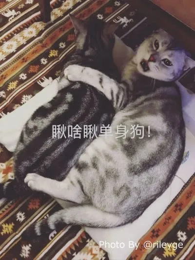 微信图片_20180113223245.jpg