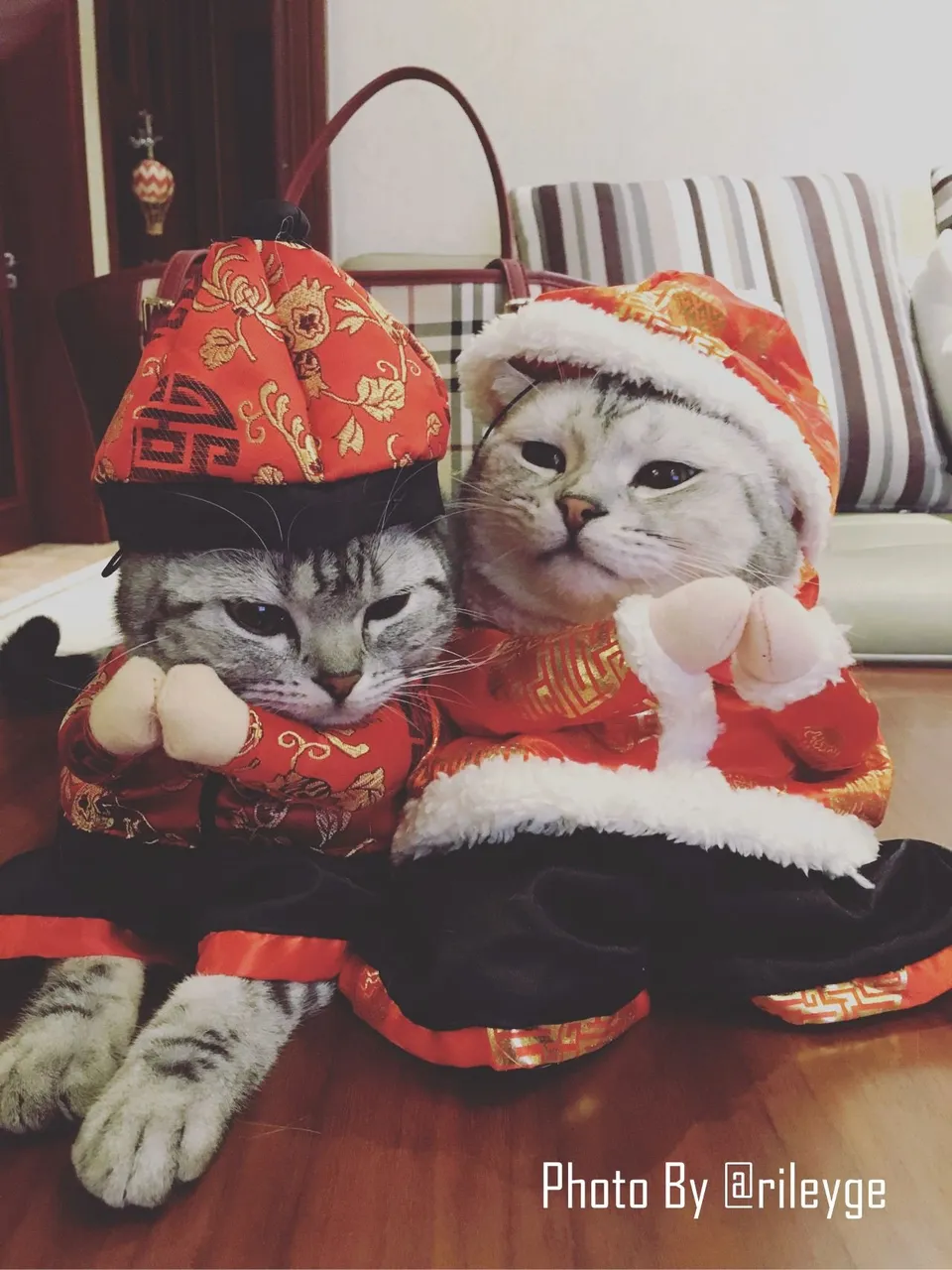 微信图片_20180113233132.jpg