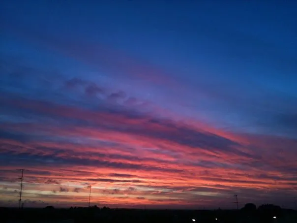 B492D2D5-648F-4033-8176-52CB18DB1888.jpeg