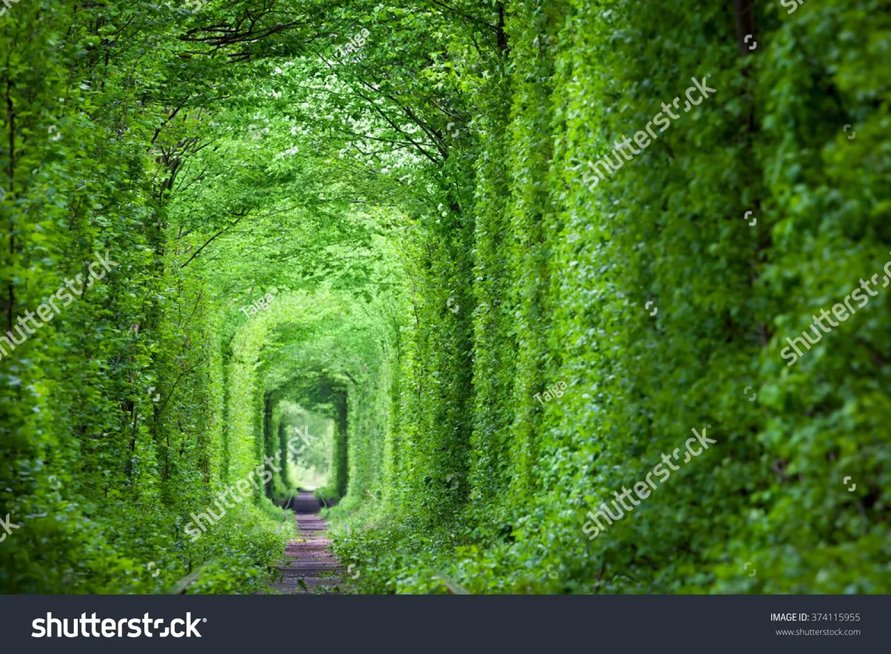 Wonder of nature real tunnel of love green trees and the railroad ukraine.jpg