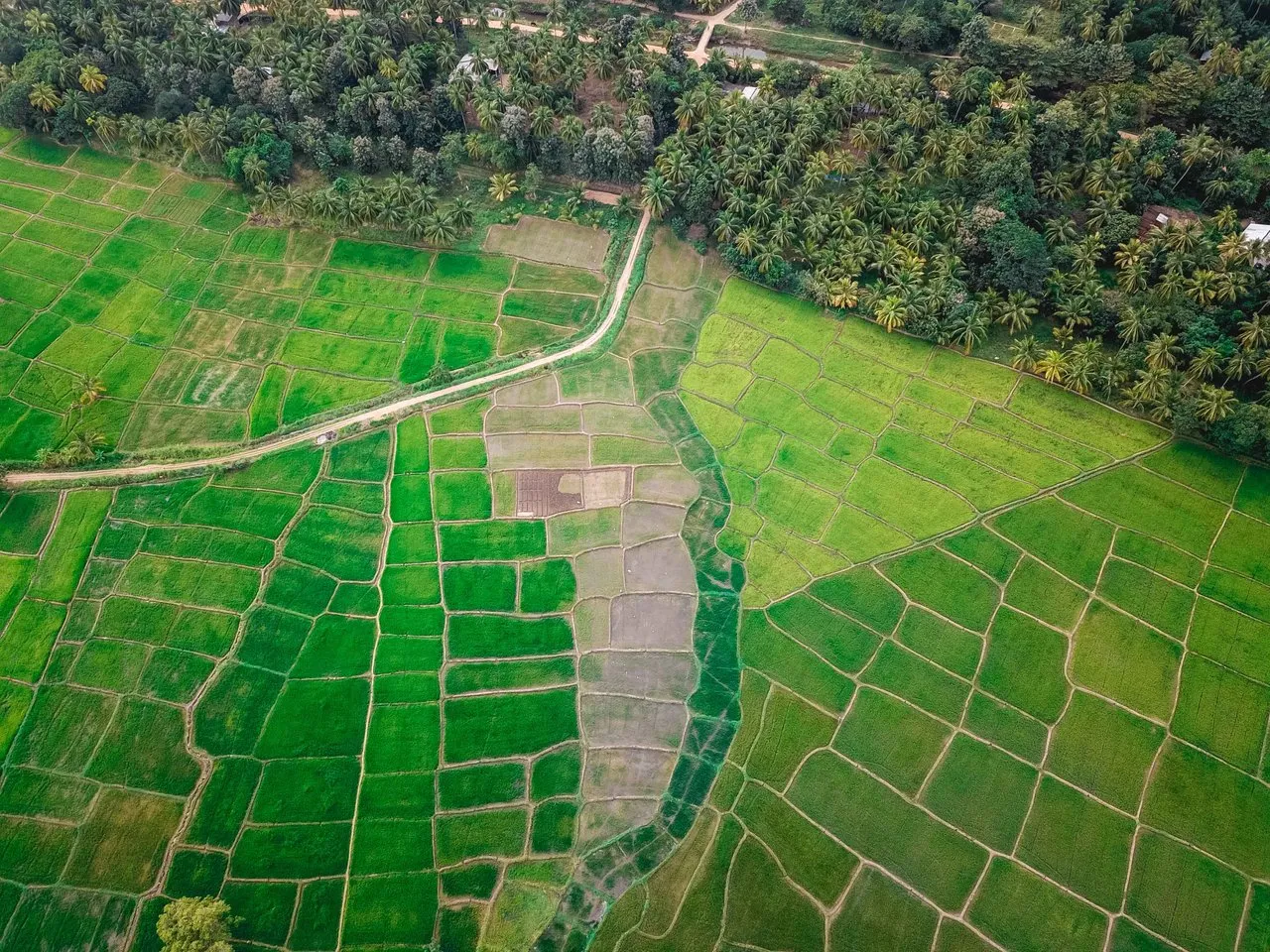 DJI_0037.jpg