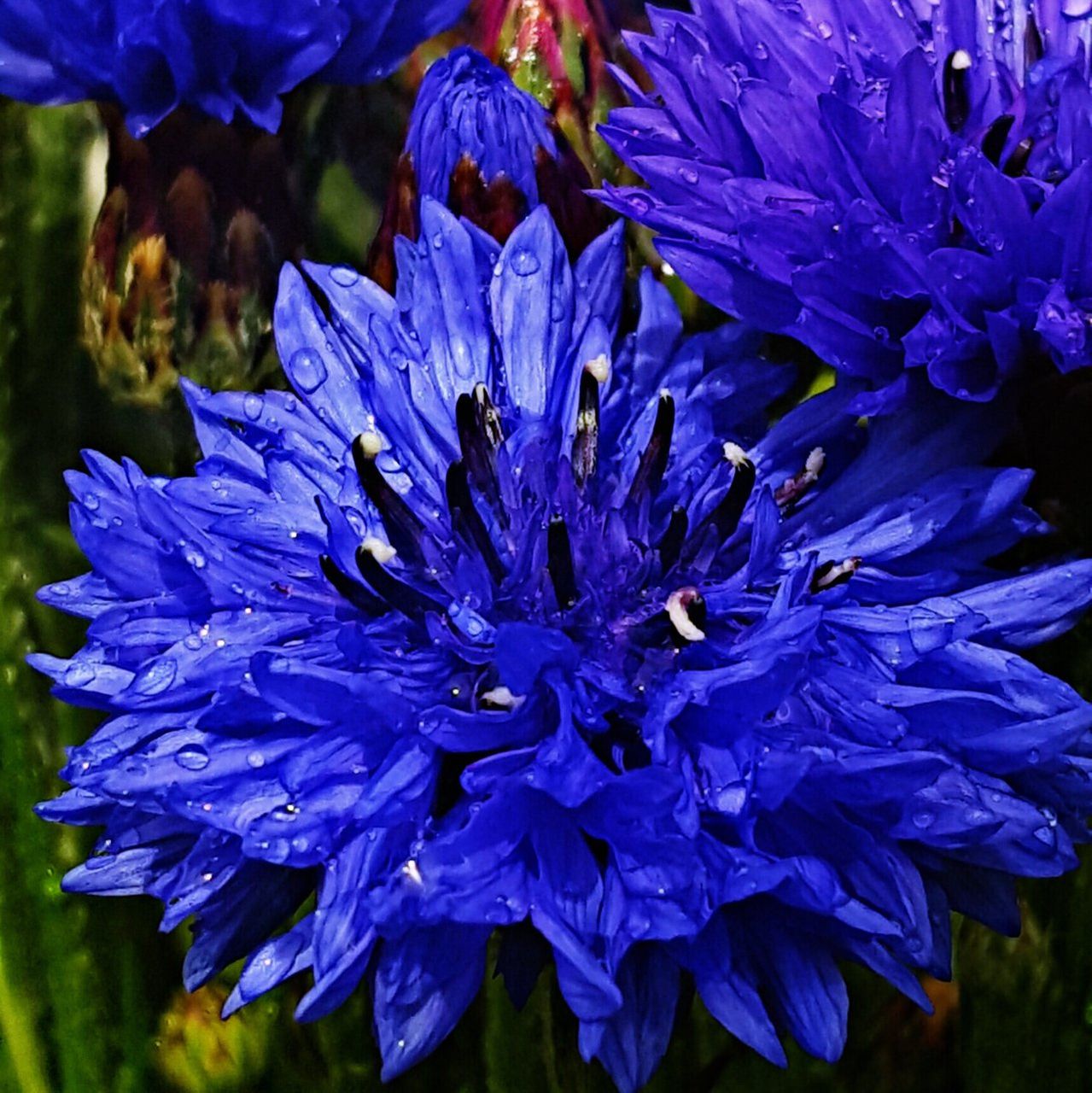 B0FF5497-CC92-4348-8728-93A906C3F003.jpeg