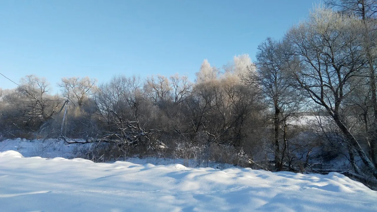 IMG_20180125_101007.jpg