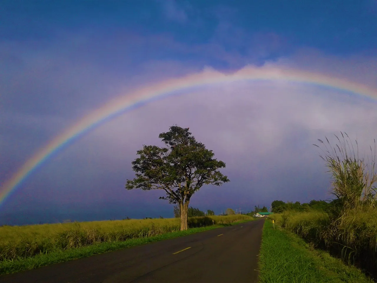 Paa uilo Rainbow (2).jpg