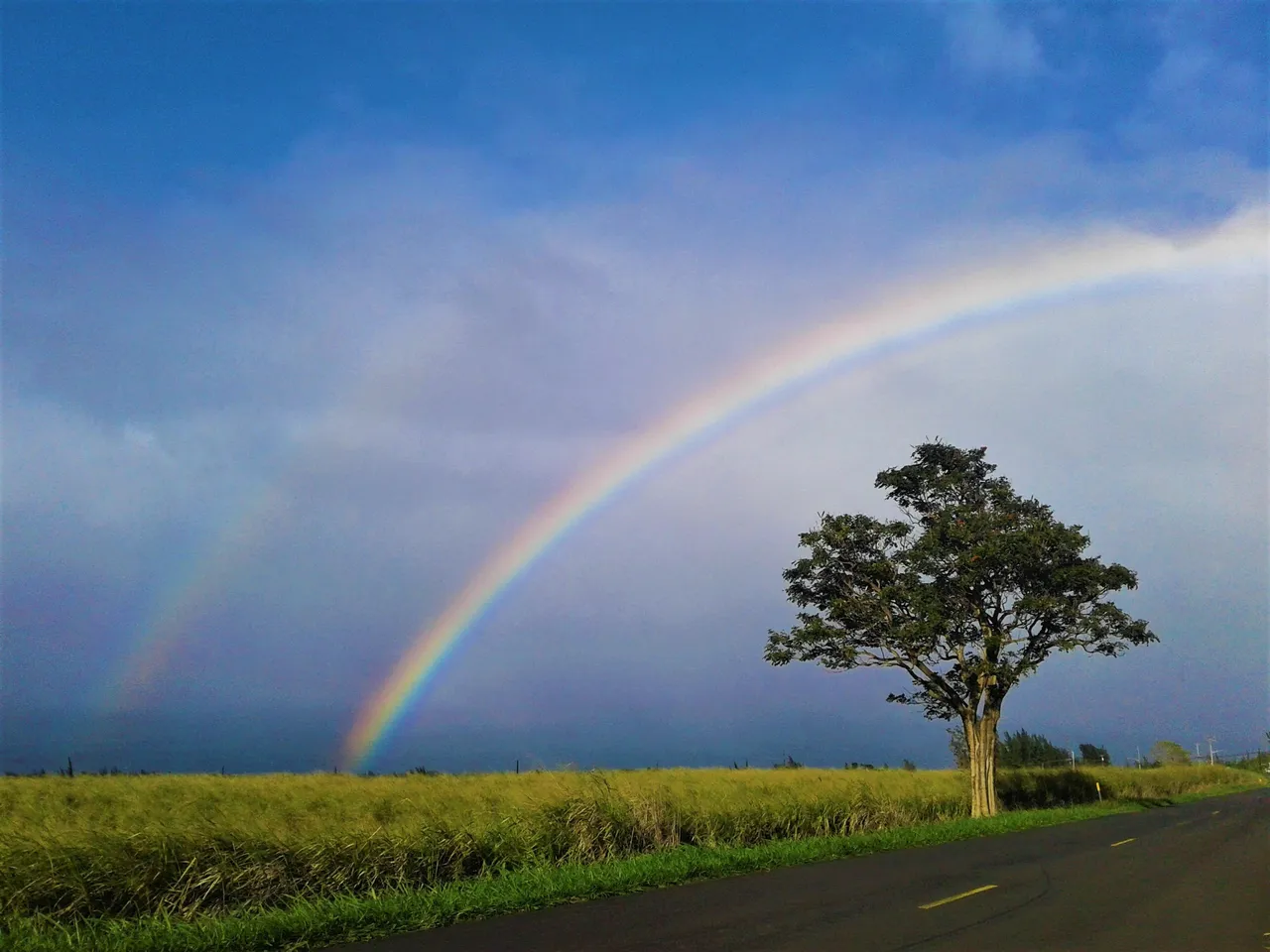 Rainbow Paauilo (2).jpg