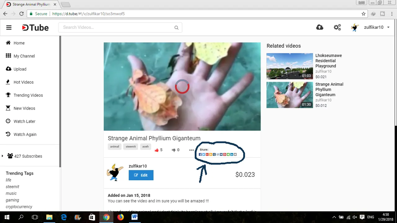 share dtube.png