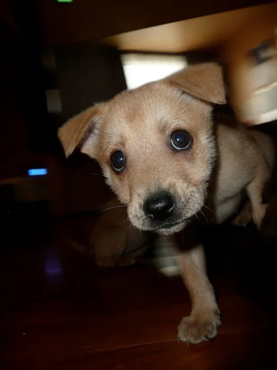 Ella Baby.jpg
