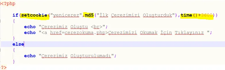 resim.png