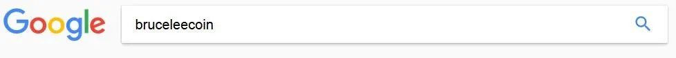 GoogleBLC.JPG