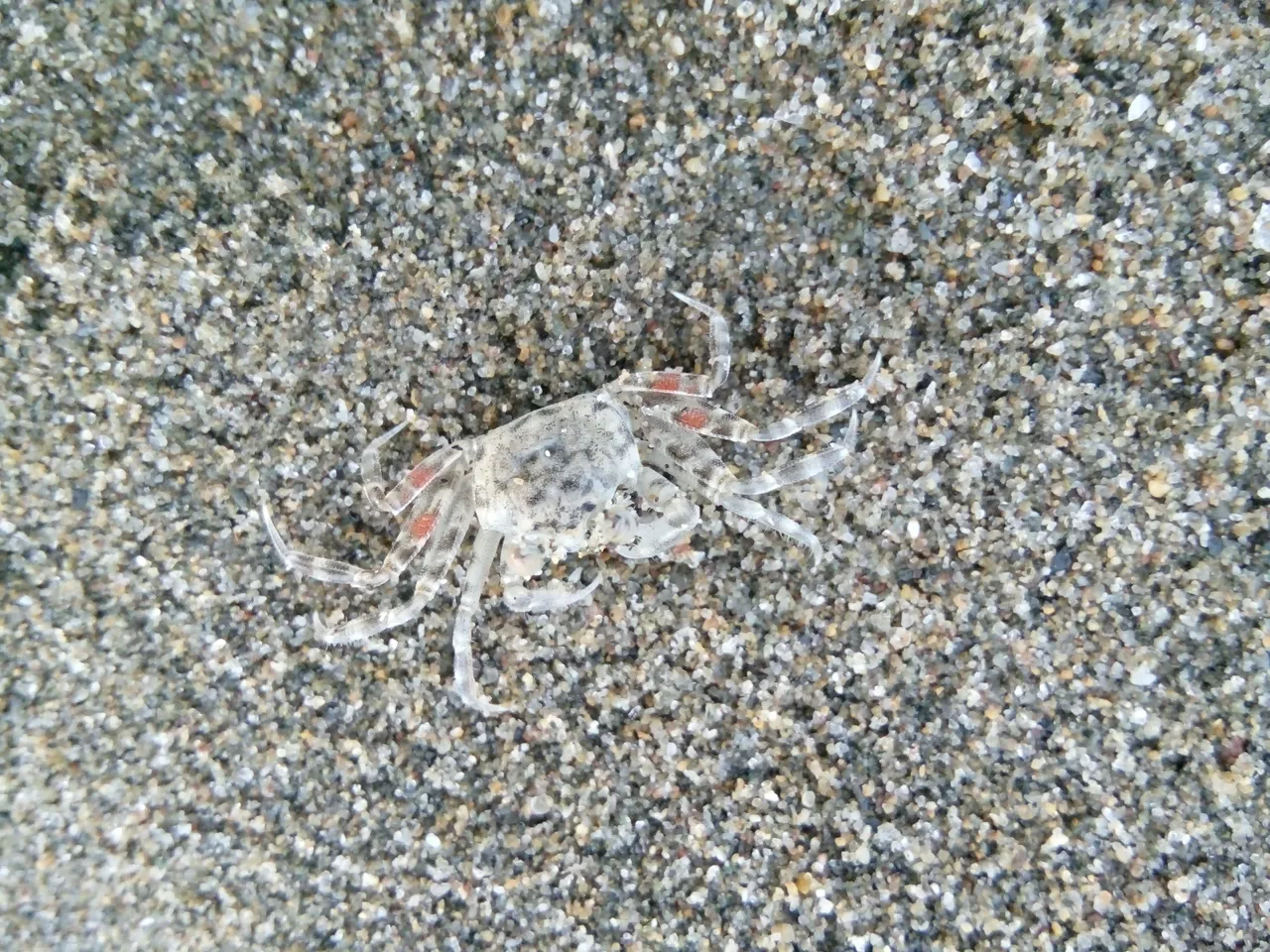 IMG20180127180943.jpg