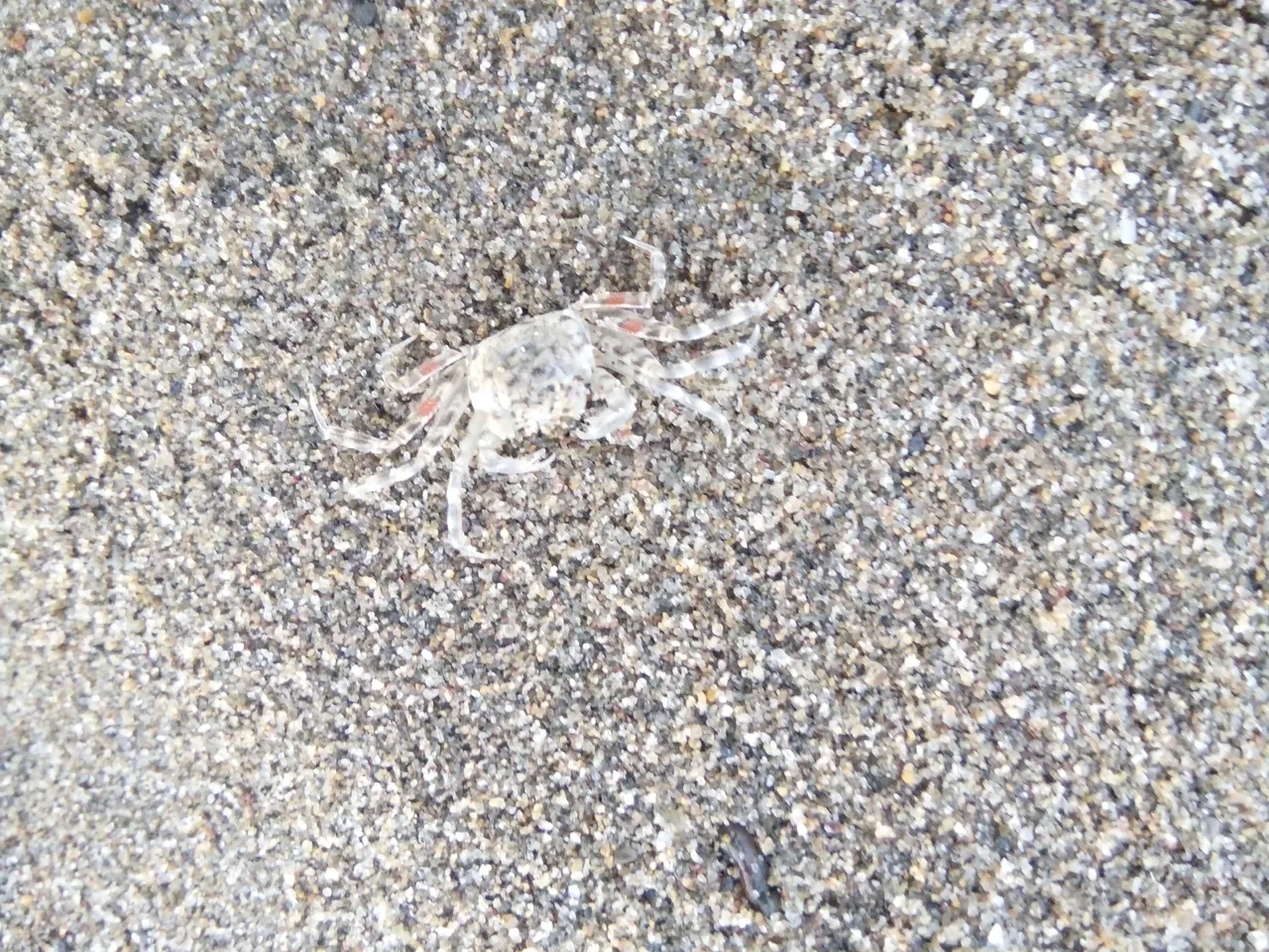 IMG20180127180936.jpg