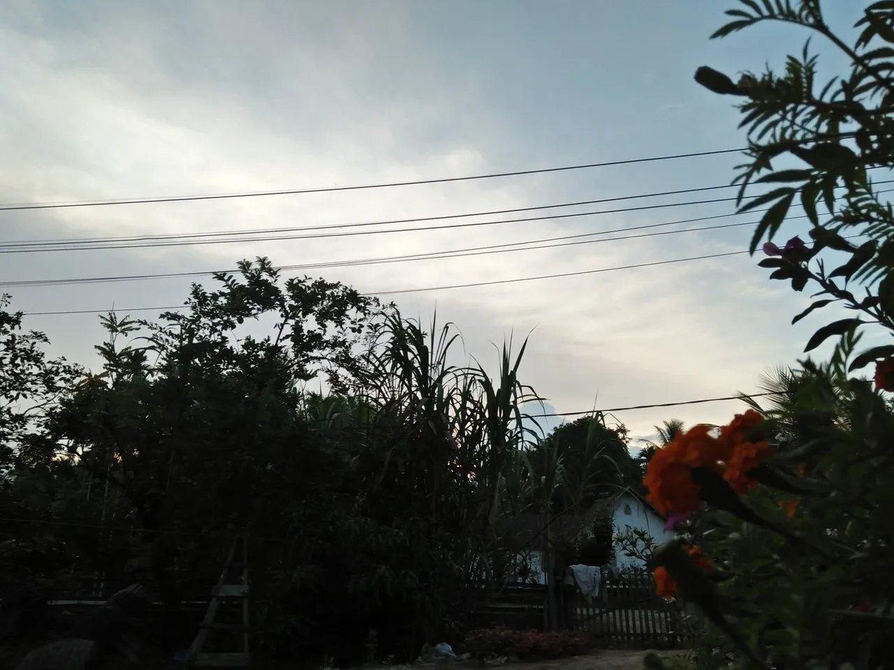 IMG20180201183109.jpg