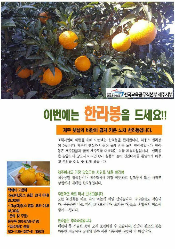 전국교육공무직본부 제주지부