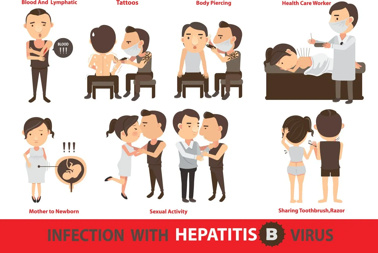 Infection-With-Hepatitis-B-Virus.jpg