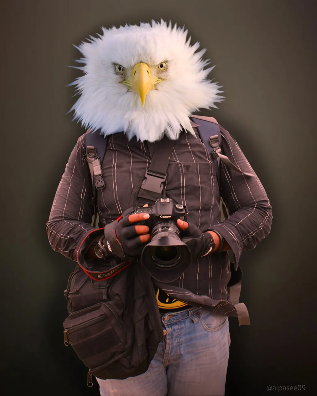 Eagle head2.jpg