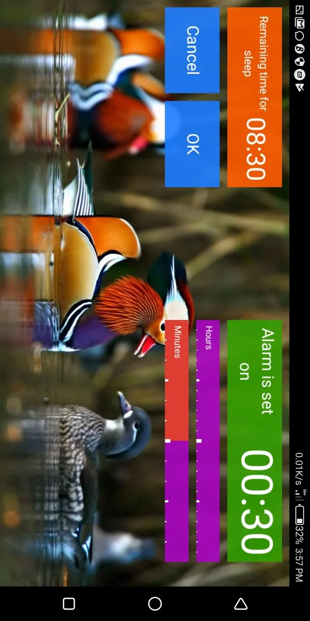 Screenshot_20180207-155739.jpg