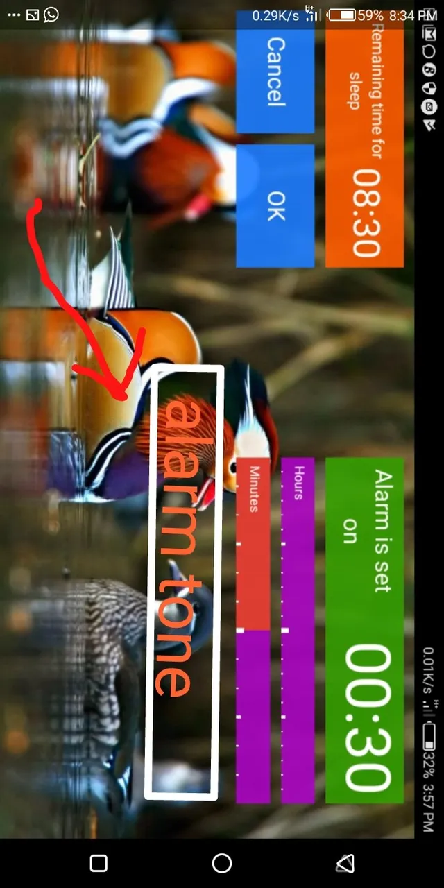 Screenshot_20180207-203432.jpg