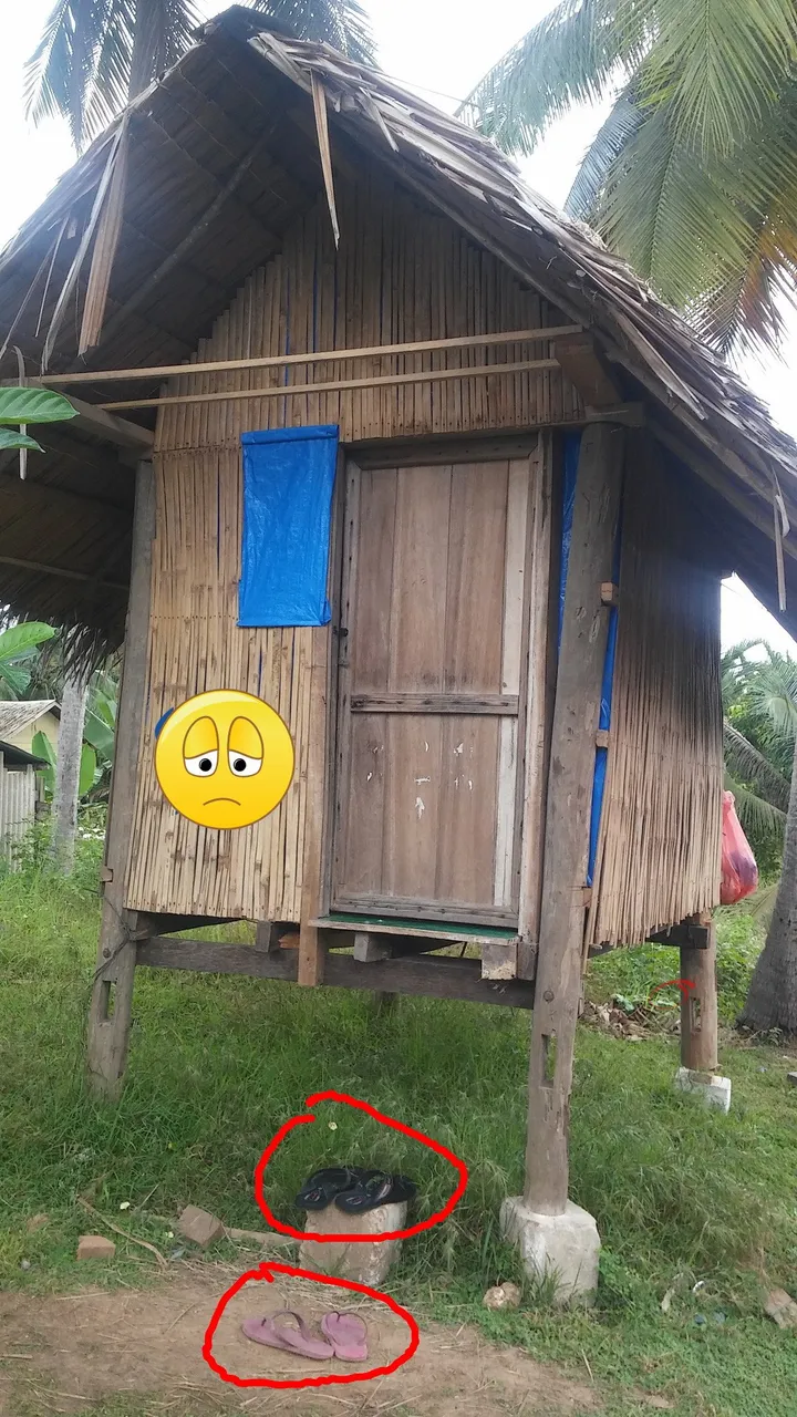 20180128_135304-picsay2.jpg
