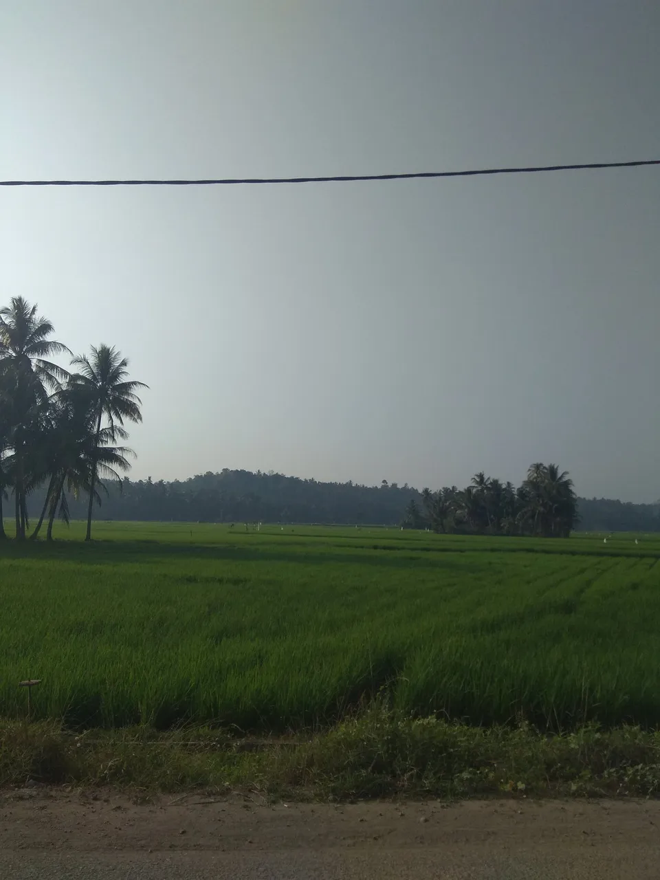 IMG_20180210_083950.jpg