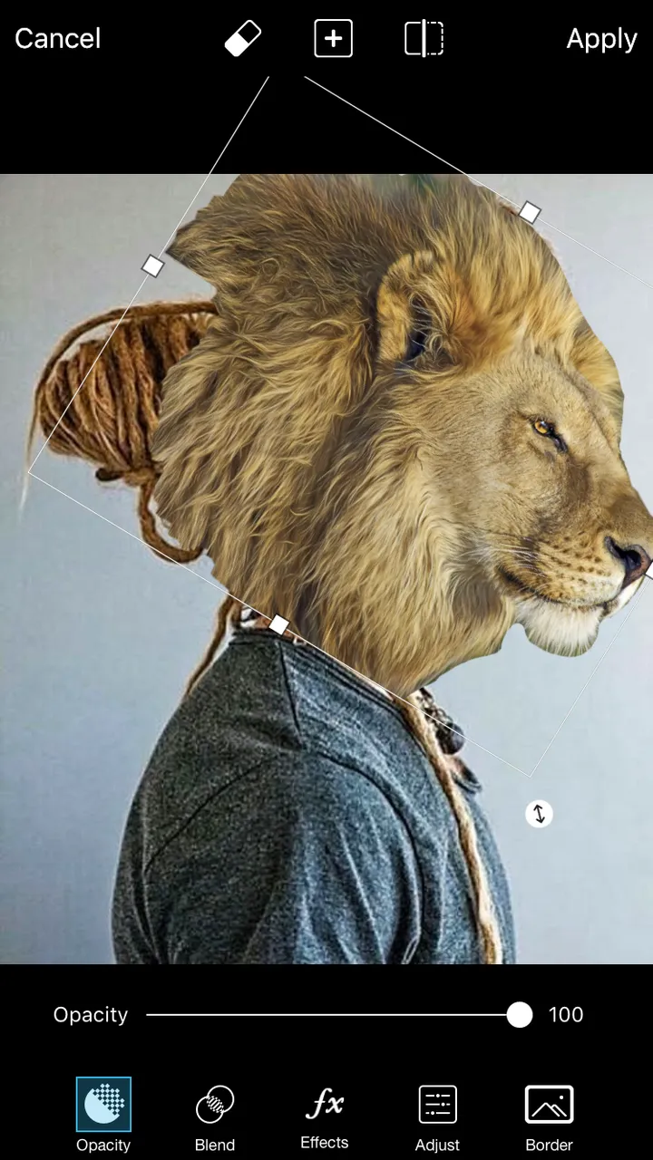 8840F874-CF7F-495C-BBD0-D1455ABA5BF8.png