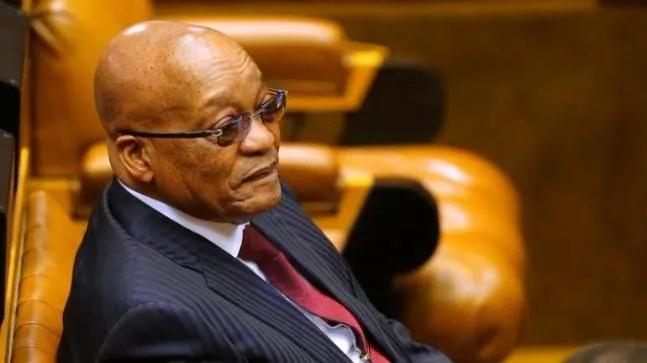 ZUMA.jpeg