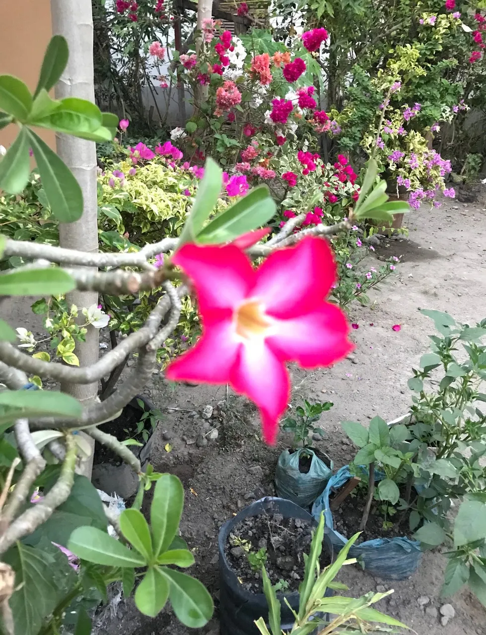 D2368406-70FE-4B63-91C9-F3711B039563.jpeg
