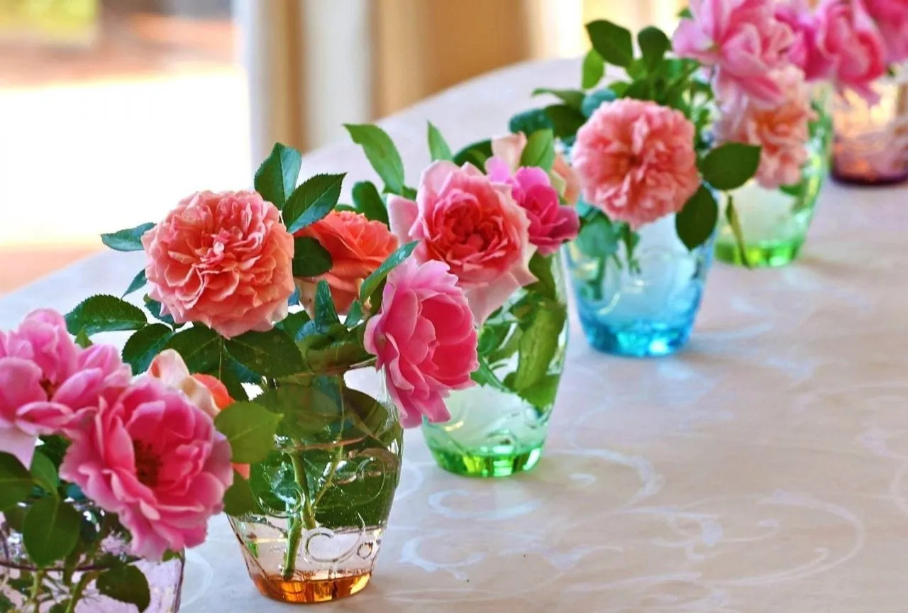 flowers-nature-beauty-rose-roses-flower-beautiful-hd-desktop-wallpapers-1600x1080.jpg