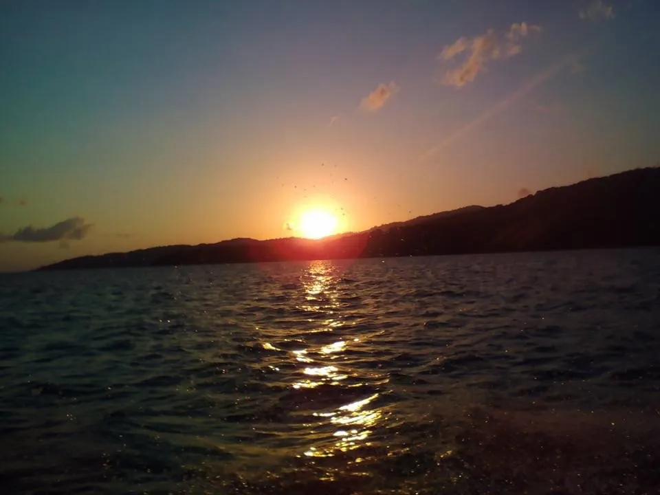 413D38FA-7661-4D8E-A60C-C3131345229B.jpeg