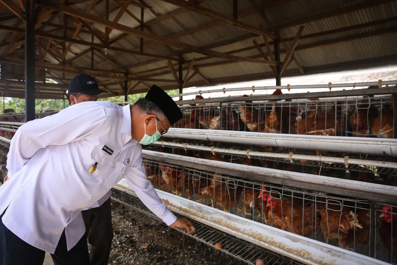 Telur ayam-1.jpg